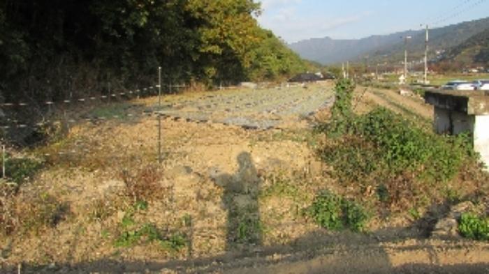 경상남도 창녕군 계성면 신당리 484 전 경매 사진 18