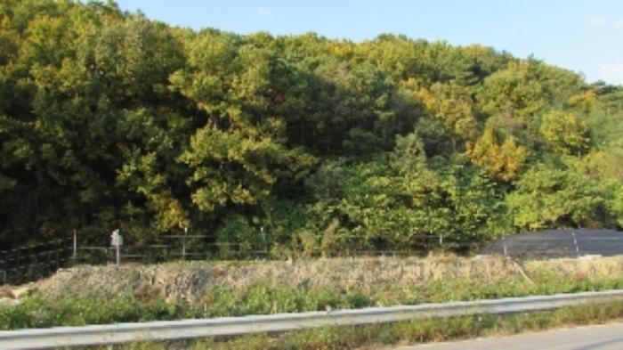 경상남도 창녕군 계성면 신당리 484 전 경매 사진 20