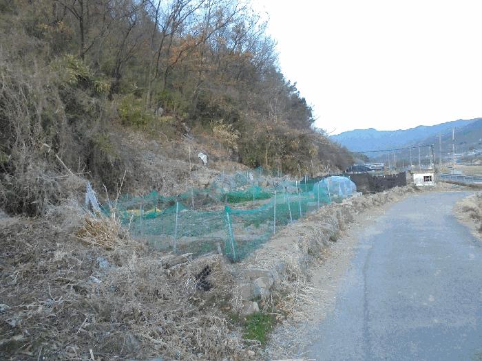 경상남도 창녕군 계성면 신당리 484 전 경매 사진 4