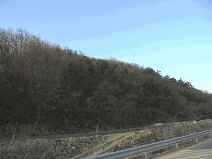 경상남도 창녕군 계성면 신당리 484 전 경매 사진 6
