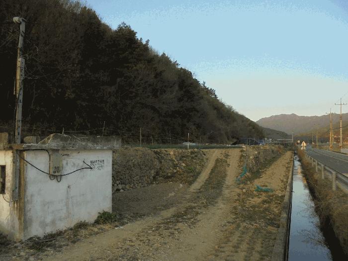 경상남도 창녕군 계성면 신당리 484 전 경매 사진 7