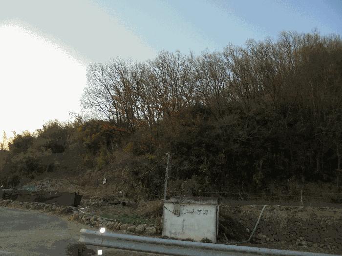 경상남도 창녕군 계성면 신당리 484 전 경매 사진 8