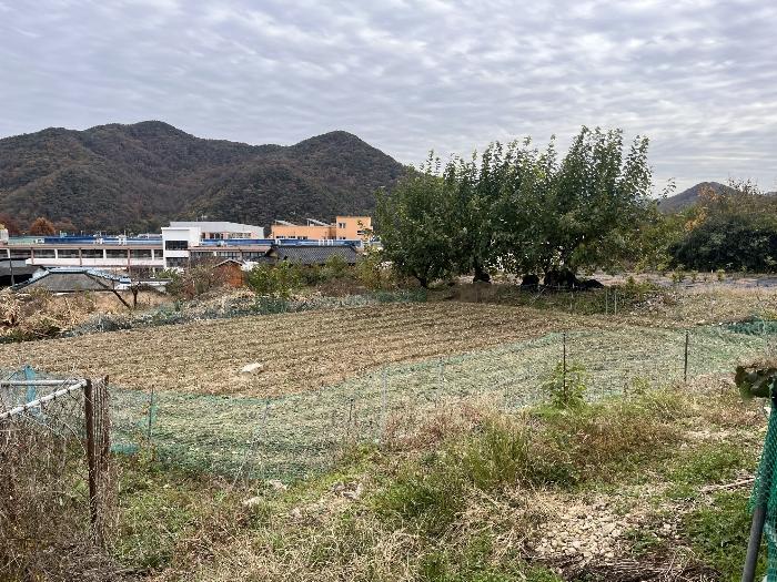 경상남도 밀양시 무안면 신법리 361 전 경매 사진 1