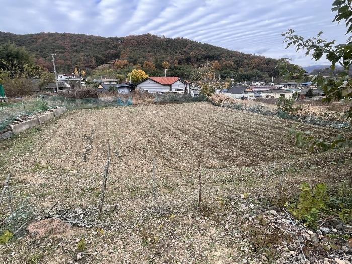 경상남도 밀양시 무안면 신법리 361 전 경매 사진 2