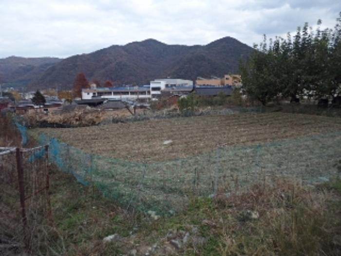 경상남도 밀양시 무안면 신법리 361 전 경매 사진 5