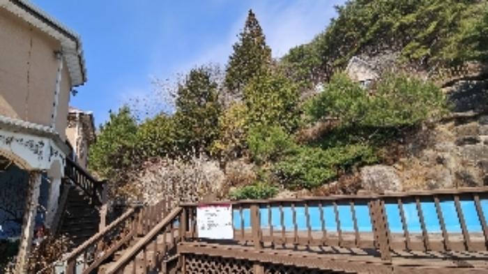 전라남도 광양시 옥룡면 동곡리 산107-7 임야 경매 사진 40