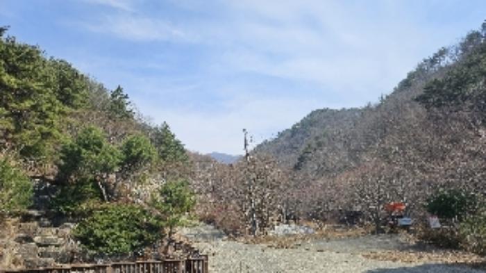 전라남도 광양시 옥룡면 동곡리 산107-7 임야 경매 사진 47