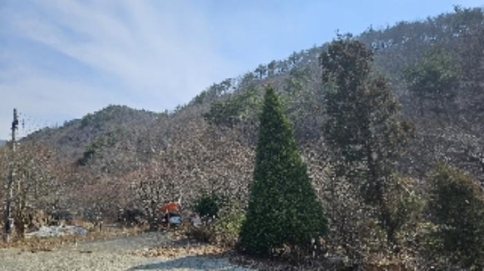 전라남도 광양시 옥룡면 동곡리 산107-7 임야 경매 사진 48
