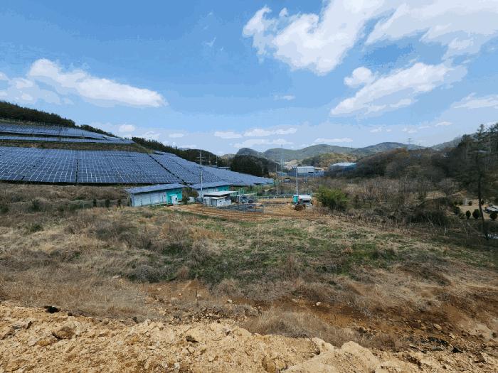 전라남도 여수시 소라면 봉두리 산433 임야 경매 사진 7