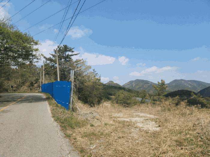 전라남도 여수시 소라면 봉두리 산433 임야 경매 사진 9