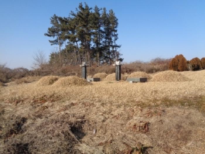 전북특별자치도 김제시 봉남면 행촌리 469-23 전 경매 사진 35