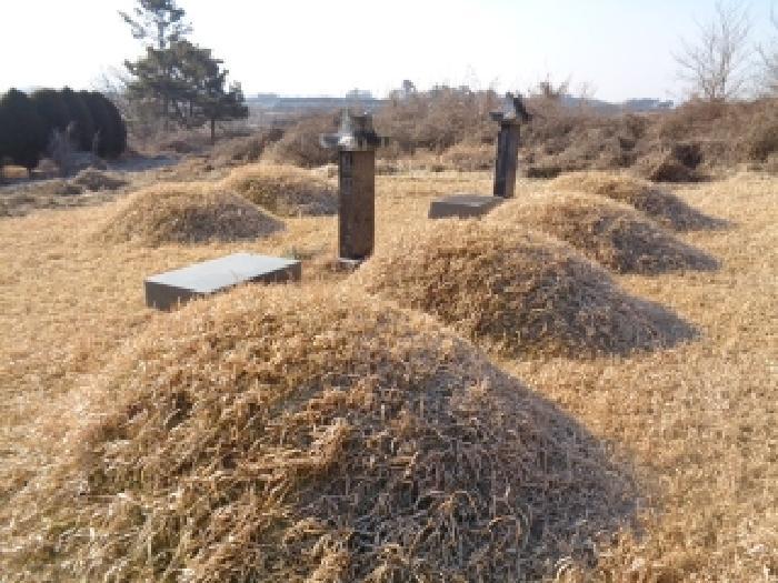 전북특별자치도 김제시 봉남면 행촌리 469-23 전 경매 사진 36
