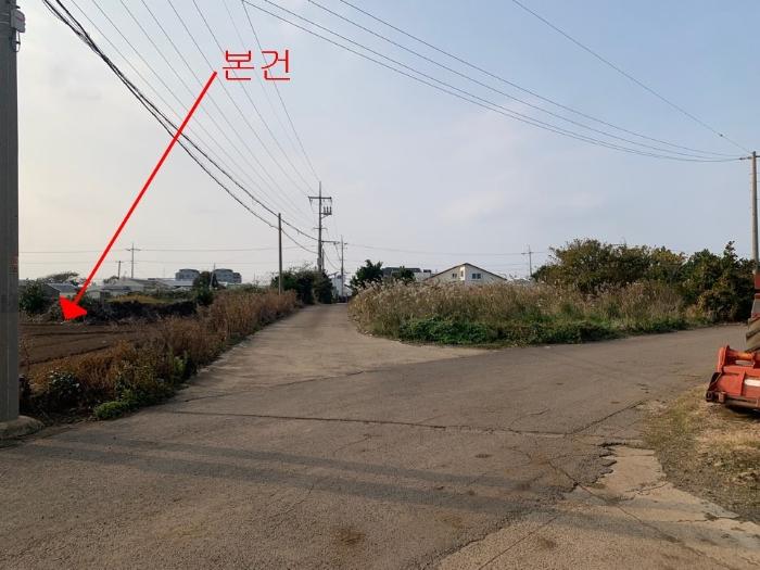 제주특별자치도 서귀포시 대정읍 하모리 613-4 전 경매 사진 4