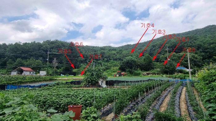 경기도 포천시 일동면 기산리 38-7 임야 경매 사진 1
