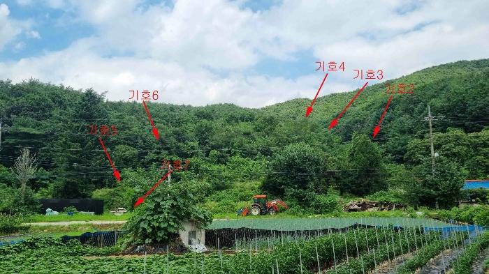 경기도 포천시 일동면 기산리 38-7 임야 경매 사진 2