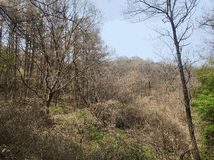 경기도 양주시 장흥면 석현리 산48-1 임야 경매 사진 3