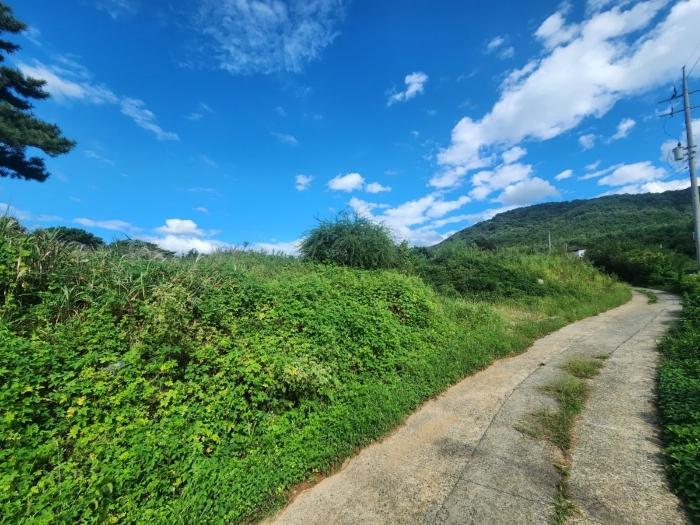 충청남도 보령시 남포면 제석리 153-7 전 경매 사진 1