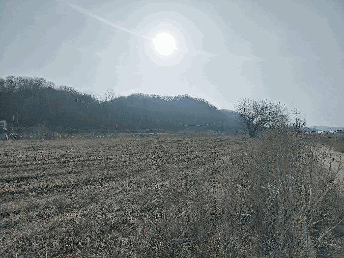 경기도 파주시 파평면 덕천리 44-1 답 경매 사진 1