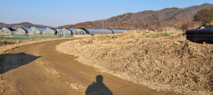 경기도 파주시 파평면 덕천리 44-1 답 경매 사진 10