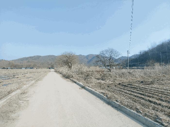 경기도 파주시 파평면 덕천리 44-1 답 경매 사진 7