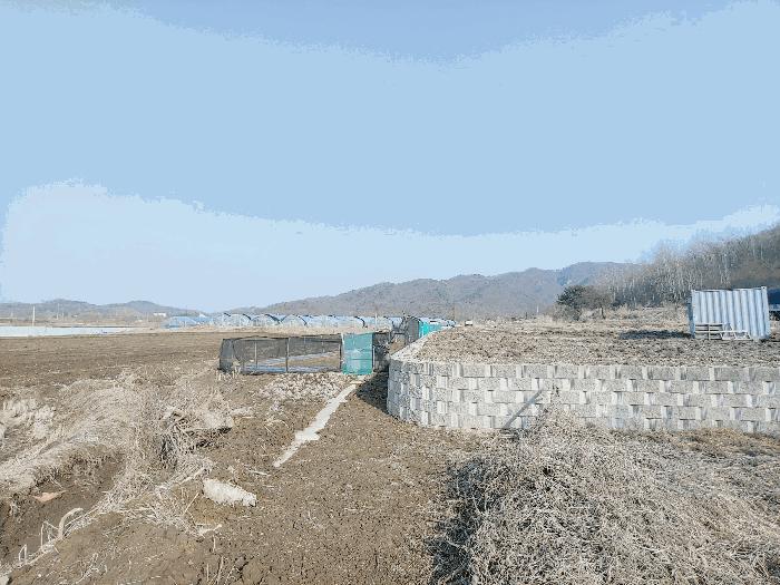 경기도 파주시 파평면 덕천리 44-1 답 경매 사진 8