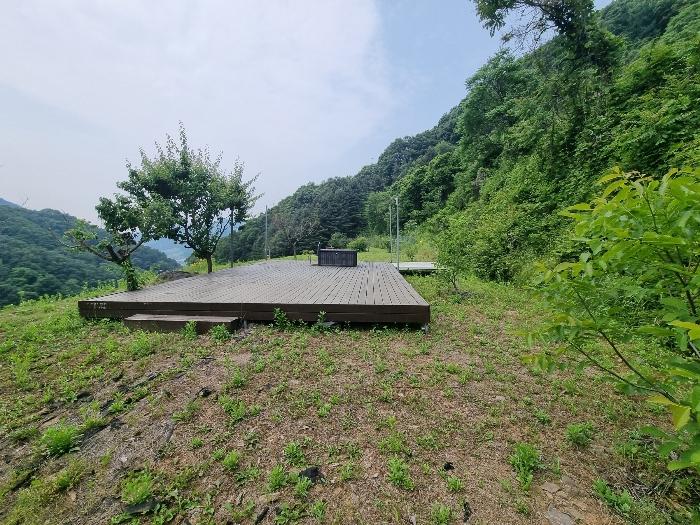 충청북도 충주시 살미면 향산리 439-1 전 경매 사진 8