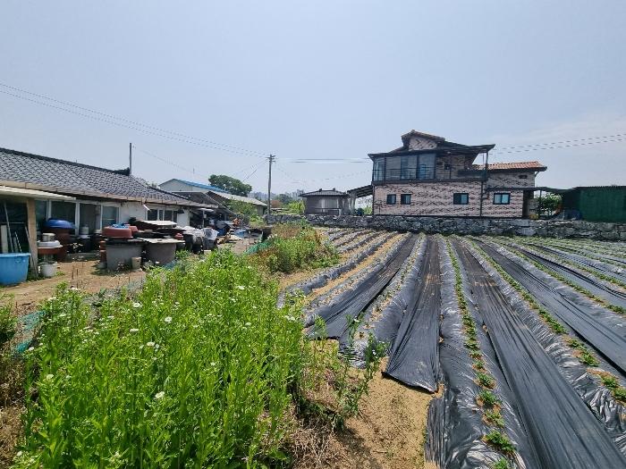 충청북도 충주시 살미면 향산리 453 전 경매 사진 3