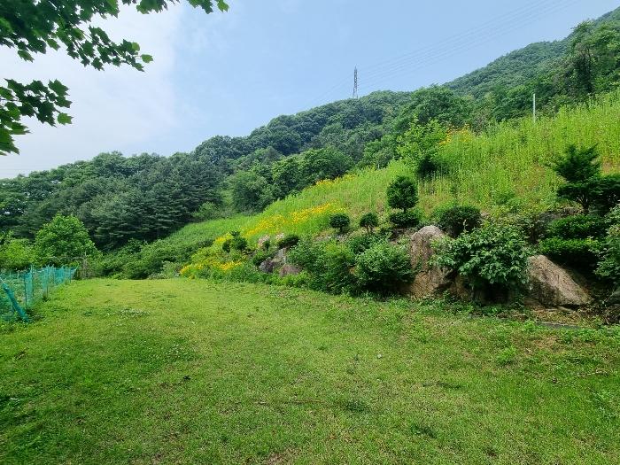 충청북도 충주시 호암동 624-2 답 경매 사진 1