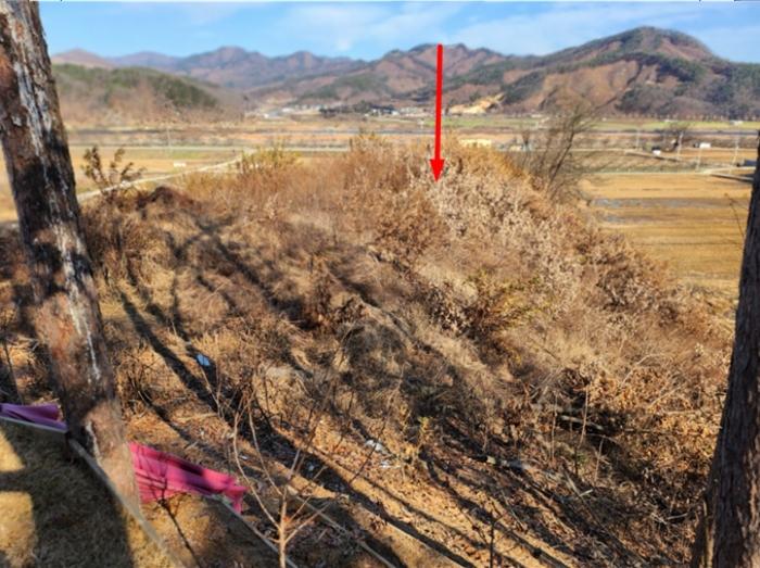 충청북도 충주시 앙성면 영죽리 산68-7 임야 경매 사진 2