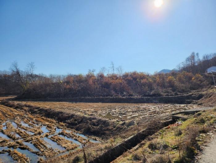 충청북도 충주시 앙성면 영죽리 산68-7 임야 경매 사진 4