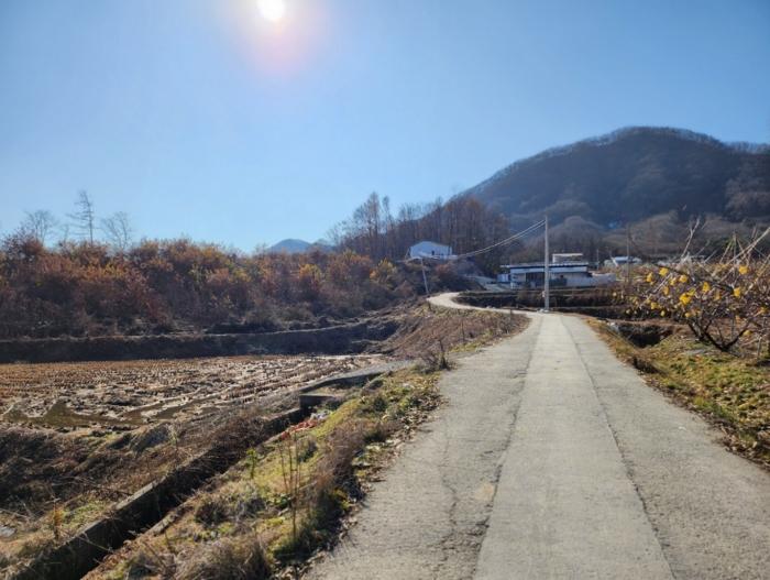 충청북도 충주시 앙성면 영죽리 산68-7 임야 경매 사진 6