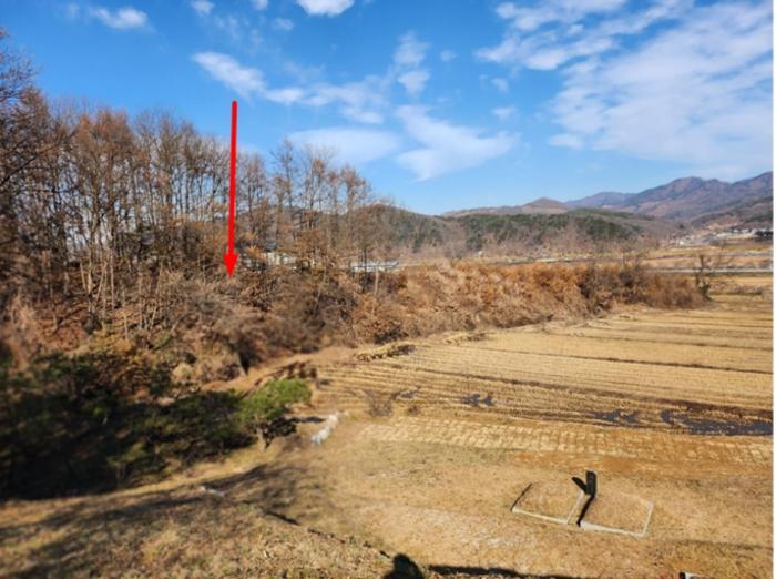 충청북도 충주시 앙성면 영죽리 산68-7 임야 경매 사진 7