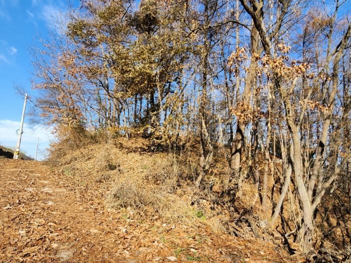 충청북도 충주시 앙성면 영죽리 산68-7 임야 경매 사진 8