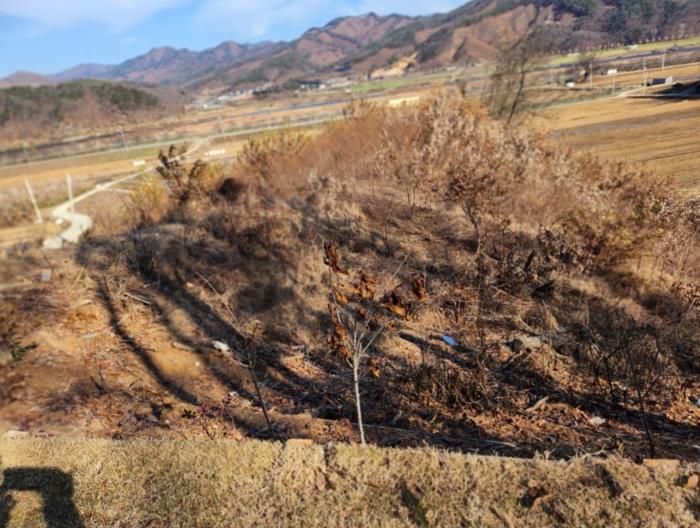 충청북도 충주시 앙성면 영죽리 산68-7 임야 경매 사진 9
