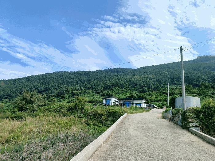경상남도 남해군 남면 선구리 441 전 경매 사진 2