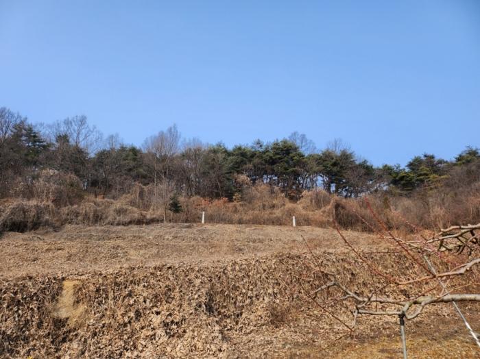 충청북도 제천시 수산면 구곡리 78-1 임야 경매 사진 29