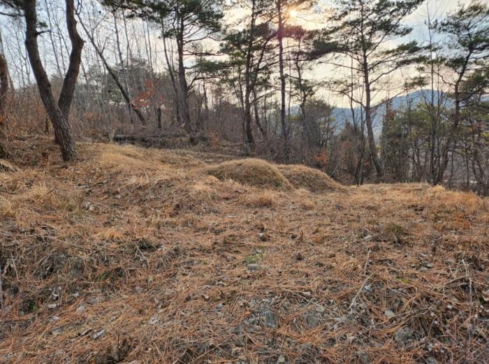 충청북도 제천시 수산면 구곡리 78-1 임야 경매 사진 32