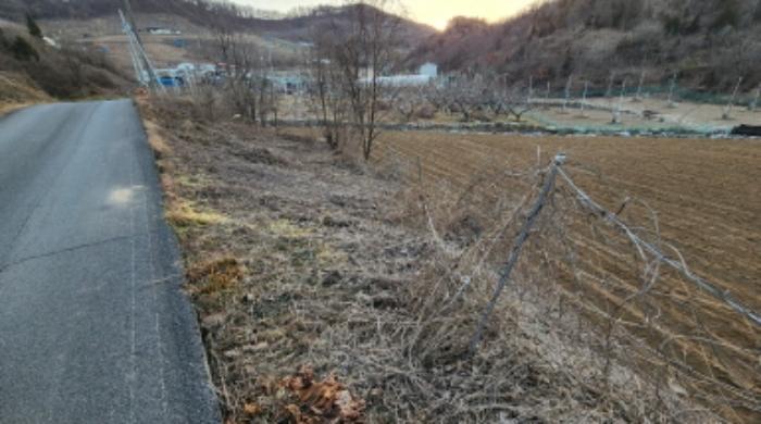 충청북도 제천시 수산면 구곡리 78-1 임야 경매 사진 35