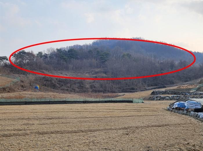 충청북도 제천시 수산면 구곡리 78-1 임야 경매 사진 4