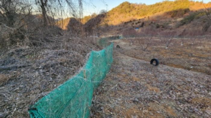 충청북도 제천시 수산면 구곡리 78-1 임야 경매 사진 41