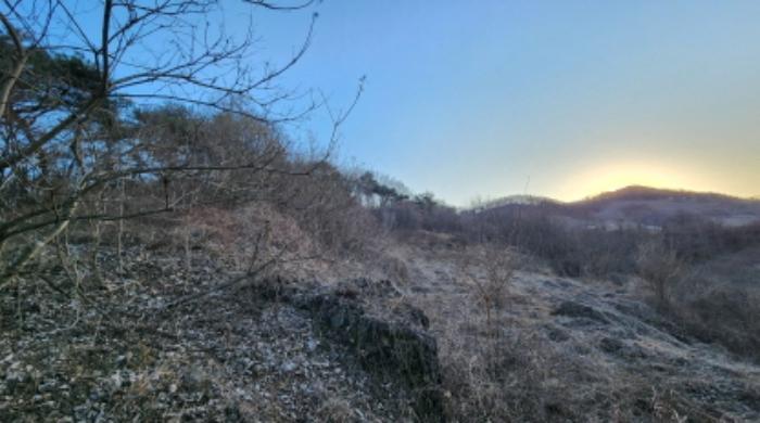 충청북도 제천시 수산면 구곡리 78-1 임야 경매 사진 44