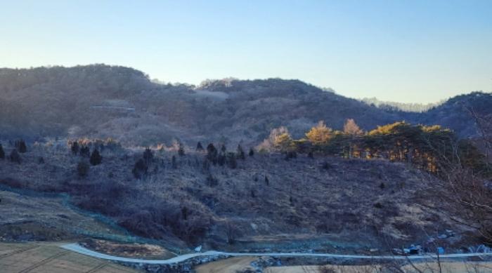 충청북도 제천시 수산면 구곡리 78-1 임야 경매 사진 45