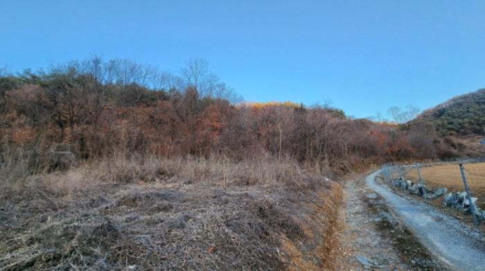 충청북도 제천시 수산면 구곡리 78-1 임야 경매 사진 59