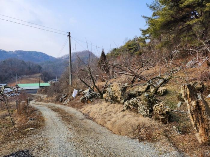 충청북도 제천시 수산면 구곡리 78-1 임야 경매 사진 7