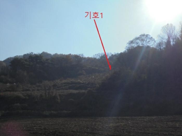 충청북도 제천시 수산면 수곡리 1157 전 경매 사진 2