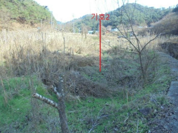 충청북도 제천시 수산면 수곡리 1157 전 경매 사진 3