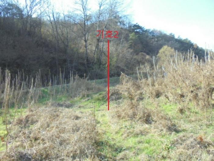 충청북도 제천시 수산면 수곡리 1157 전 경매 사진 6