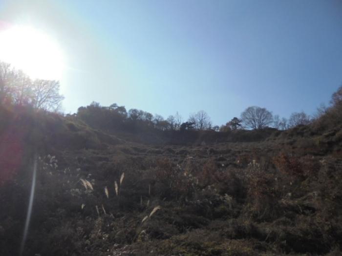 충청북도 제천시 수산면 수곡리 1157 전 경매 사진 7