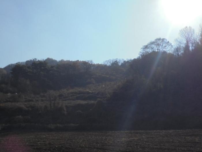 충청북도 제천시 수산면 수곡리 1157 전 경매 사진 8