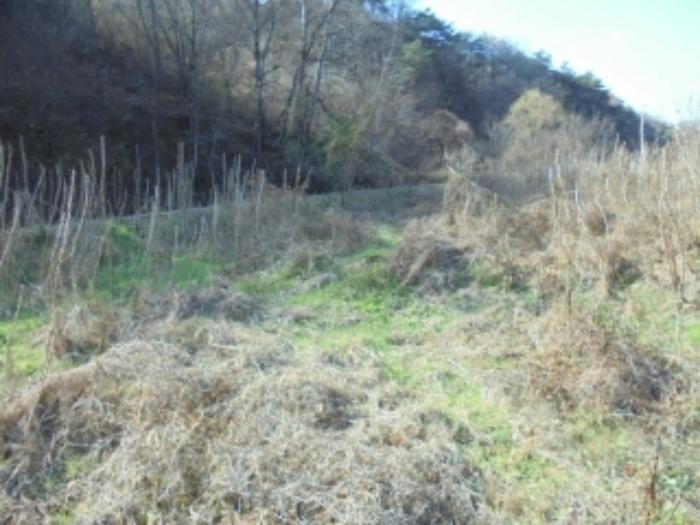 충청북도 제천시 수산면 수곡리 1157 전 경매 사진 9